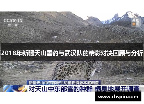 2018年新疆天山雪豹与武汉队的精彩对决回顾与分析